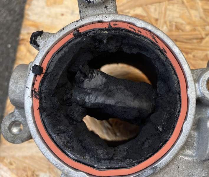 verkokte-drosselklappe-2-2